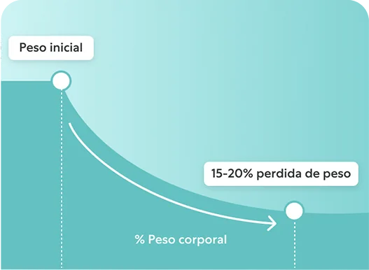 programa para perder peso